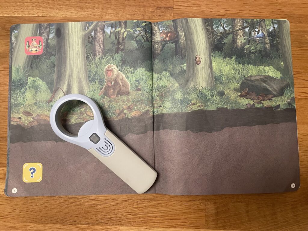 しまじろう　かんさつブック